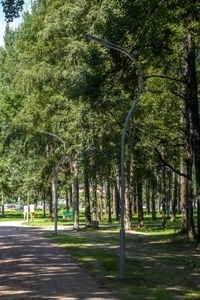 Парк имени С.А. Есенина
